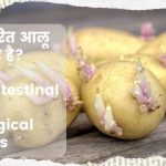 Sprouted potatoes अंकुरित आलू