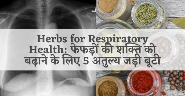 फेफड़े Herbs for Respiratory Health